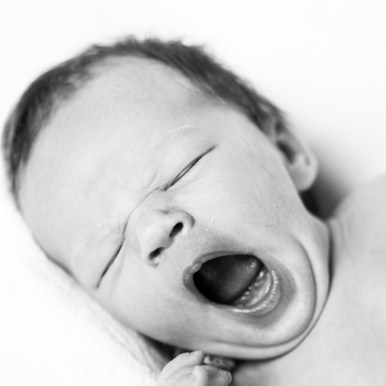 Lisburn Northern Ireland newborn family photographer newborn photoshoot headshot photographer